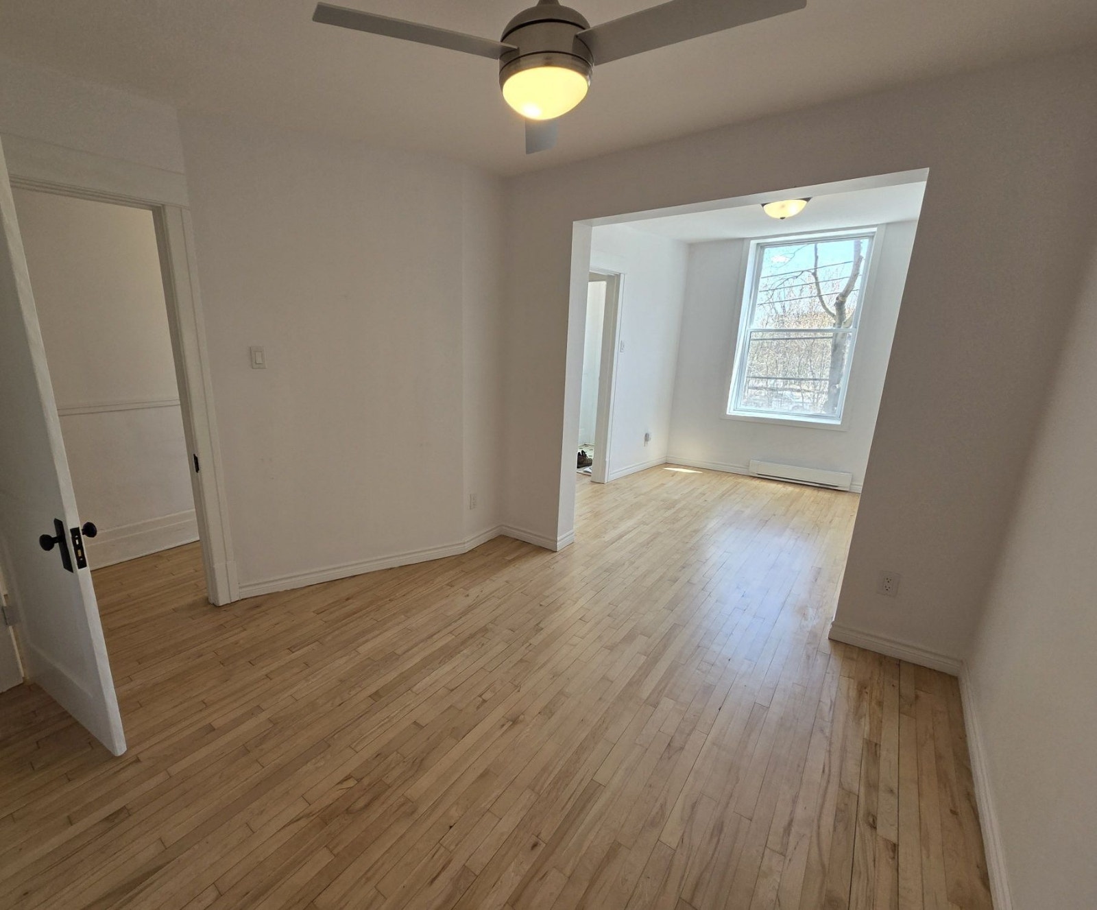 4½ tranquille, terrasse privée, dans Rosemont-La-Petite-Patrie — photo 2
