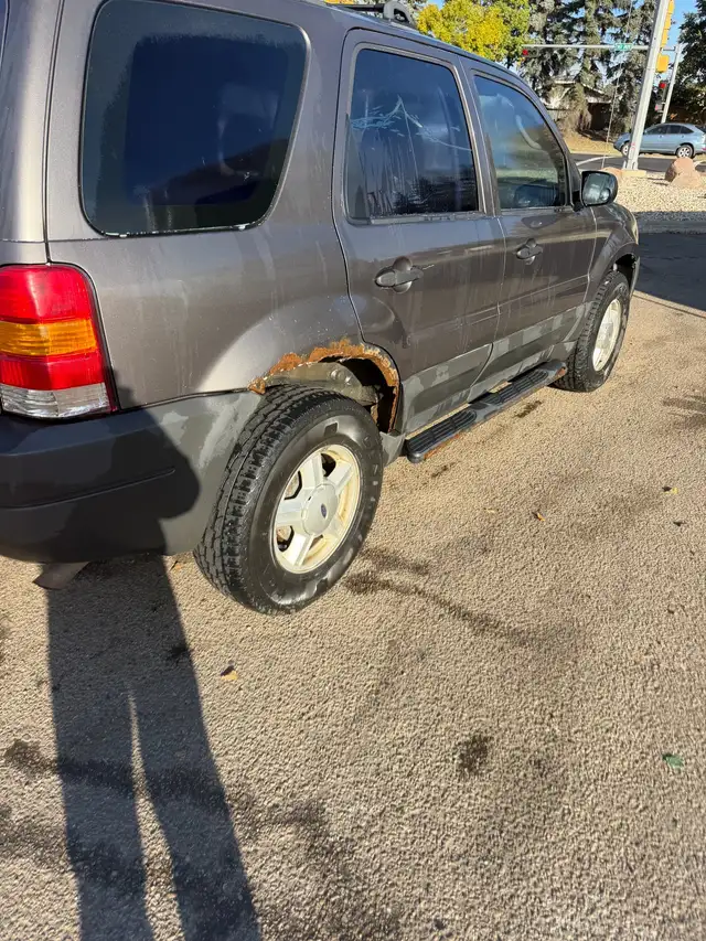 Ford Escape595518016078499842