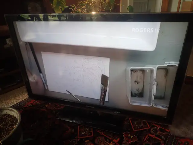 46" LCD TV