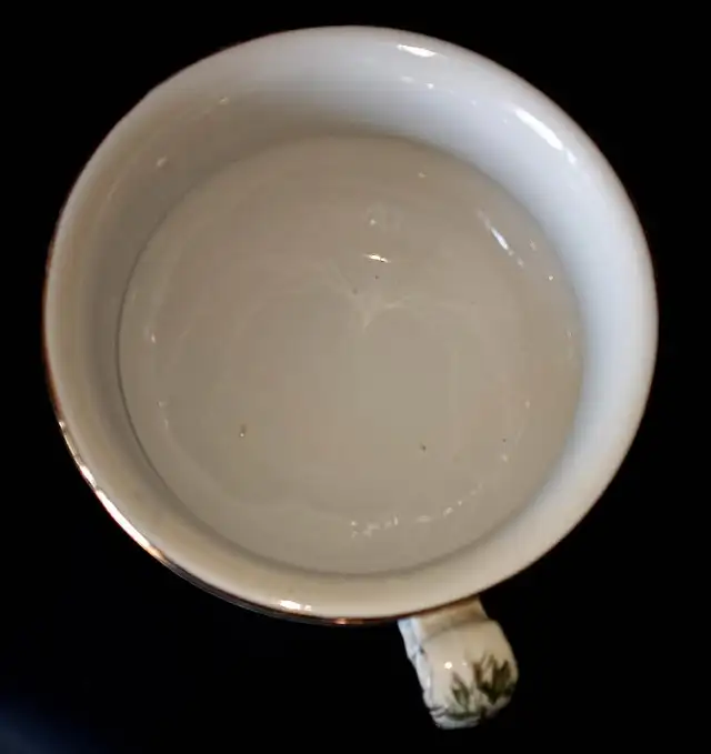 Fine Antique Semi-China Dunn Bennett Excelsior Peony Chamber Pot in Arts & Collectibles in London - Image 7