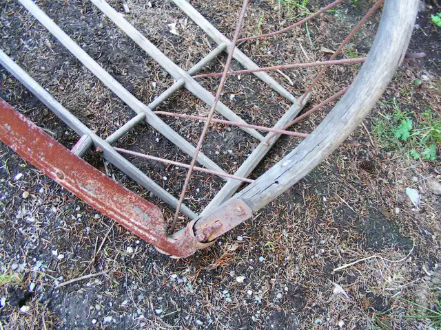Antique Corn cradle Scythe - Mid 1800's in Arts & Collectibles in Saint John - Image 3