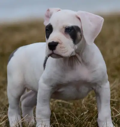 New Addition to the Family, View more