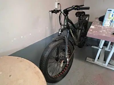 Raleigh Quanta Electric Bike, View more