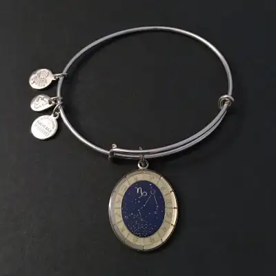 Alex and Ani Capricorn Bangle Bracelet, Silver Tone, View more
