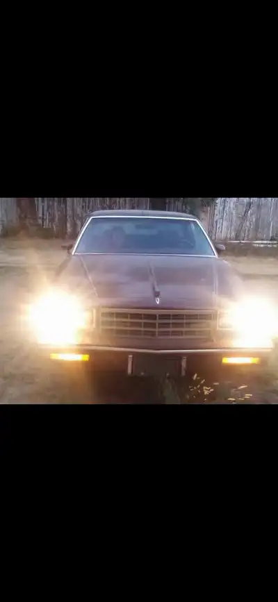 1983 Chevrolet Monte Carlo . Will post some better pics of the interior shortly. Runs but smokes so...