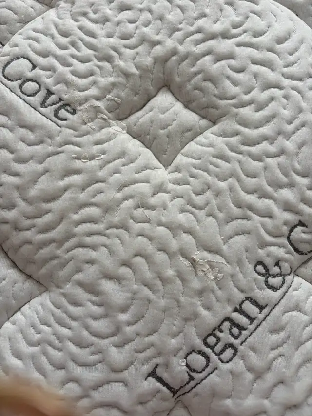 Adustable mattress- basically brand new  in Beds & Mattresses in Burnaby/New Westminster - Image 5