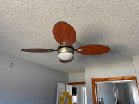 2 Remote Control Ceiling Fans