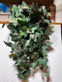 (2) Artificial Hanging Ivy Plants