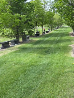 Burial Plot554748203616194563