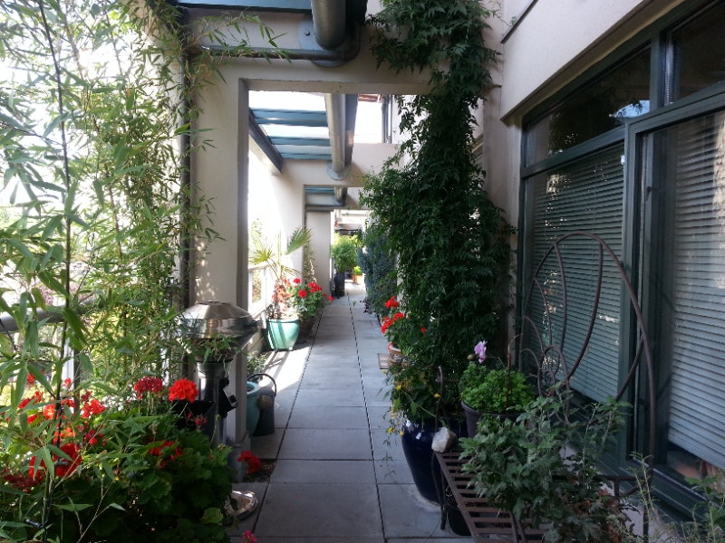 Modern Airy Penthouse Loft | Room Rentals & Roommates | Downtown-West ... - High End Penthouse Rentals With Airy Lighting Fixtures