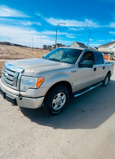 2010 ford f150