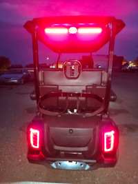 Call for Spring Specials 2024 D5 Electric Lithium Golf Cart