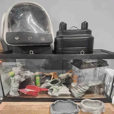 reptile aquarium, View more