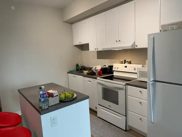 Furnished Rooms available for Rent 40 to 60 $/night in Ontario in Canada - Image 7