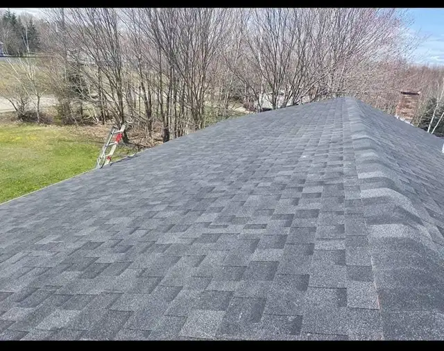 Professional Roofing62864357640321124