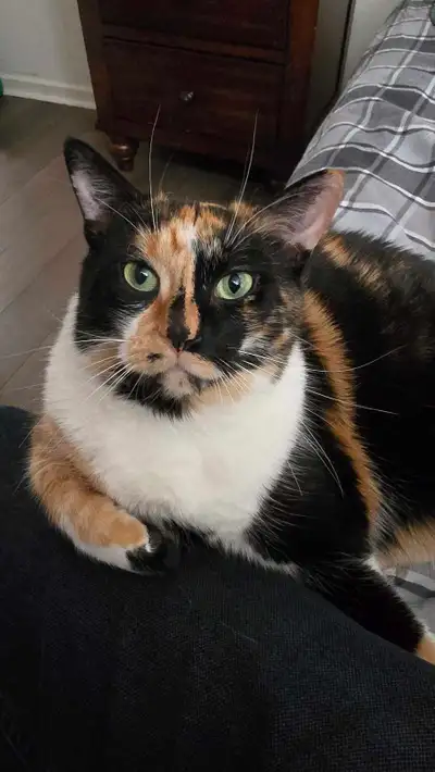 Contact me for a free consultation! I love working with, and giving back to the community. :-) let's...