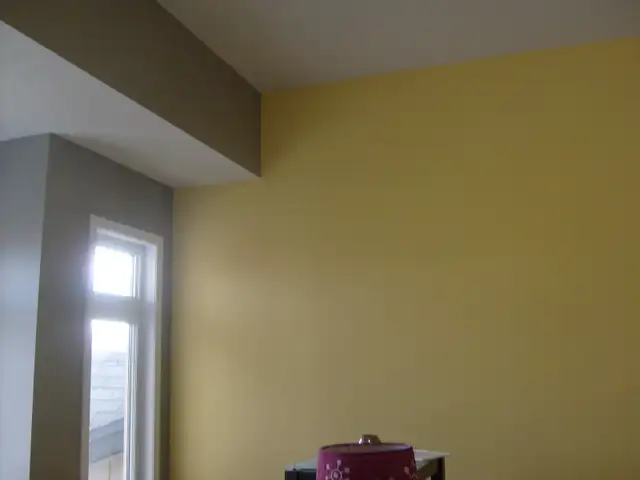 Professional Painter63013090737411123