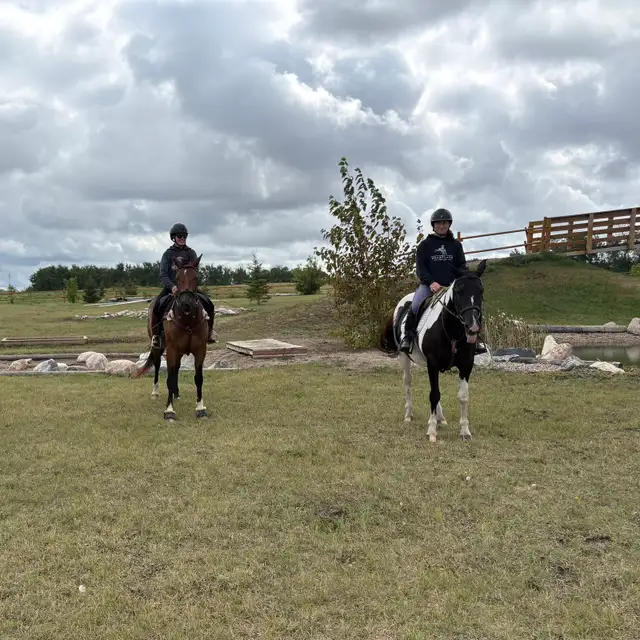 Horseback Riding Lessons