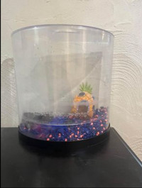 Fish tank half moon - 3 gallons + ornaments