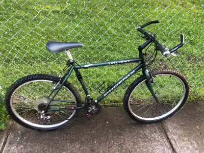Vintage Phoenix Ditchpig mountain bike bike , View more