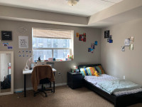 Room For Rent in Waterloo (students)