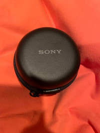 Sony fisheye converter 