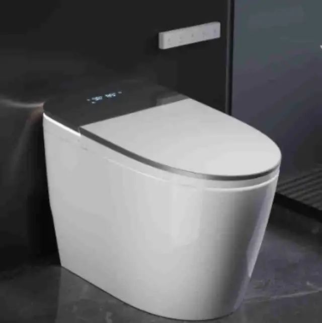 smart toilet
