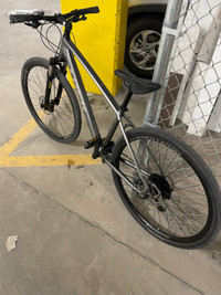 Bike - Trek Dual Sport 4