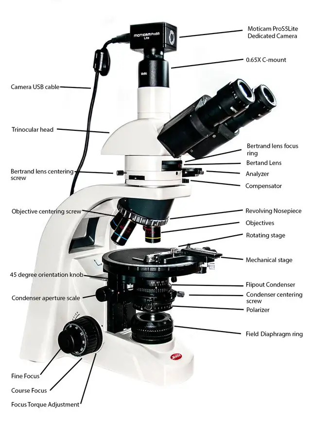 Motic BA-310 Polarizing Microscope in Hobbies & Crafts in Calgary - Image 3