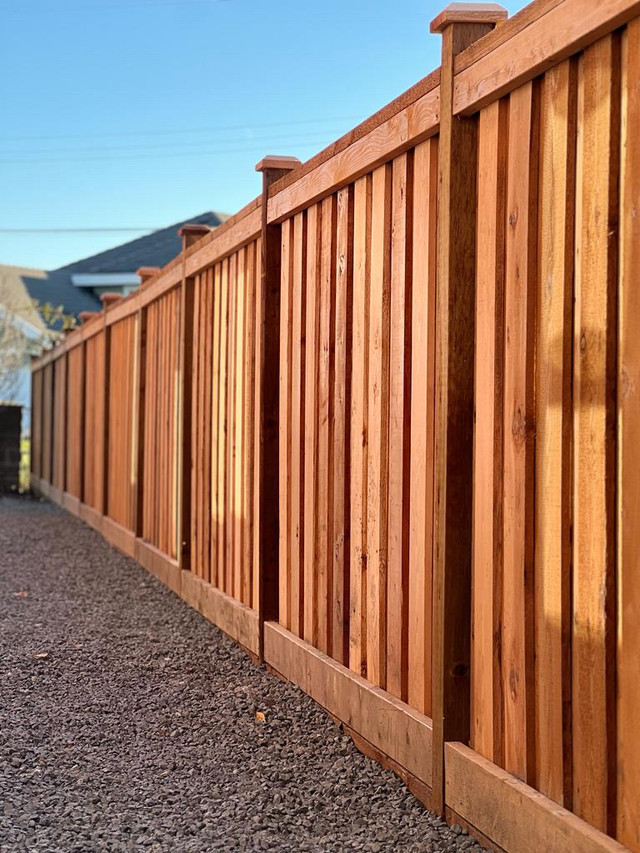 Cedar Fence  in Decks & Fences in Abbotsford - Image 2