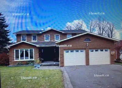 Woodbridge Pine Valley & Highway 7 Clean room for rent with shared kitchen and bathroom in the basem...