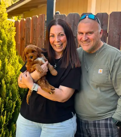Fluffy family-friendly companions ready for loving homes, View more