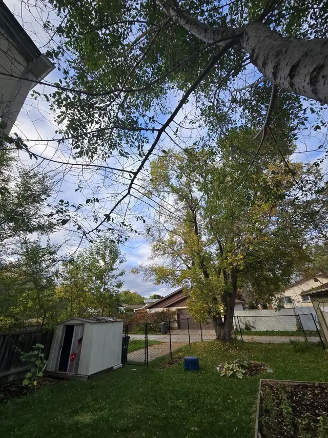 House For Rent, 2 Bedrooms, 1 Bathroom, Great Area in Long Term Rentals in Winnipeg - Image 4