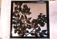 BEAUTIFUL MIRROR WITH FLOWER PATTERN IN FRONT, SIZE 17" BY 17"
