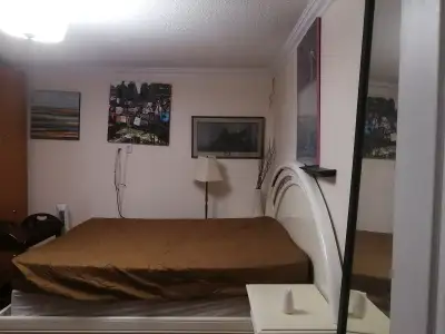 Looking for a Quiet and Clean roommate one room one person, but shared bathrooms and kitchen service...