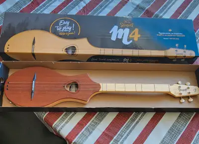 Great for anyone who wants to learn to play guitar, this kind is much easier to learn on. Only used...