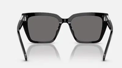 Swarovski Polarized Sunglasses, View more