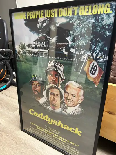 24”x36” movie poster in glass frame