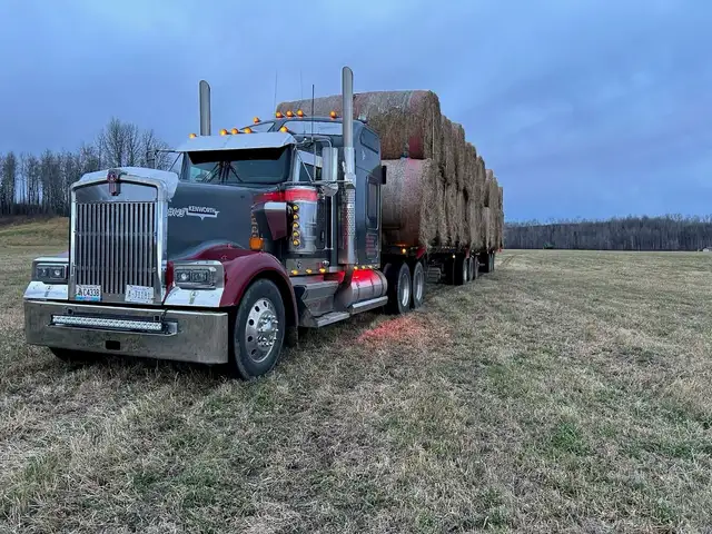Ritchie Bros Diamond Truck - Lot 274 Mar 17-19 in Other in Edmonton - Image 4