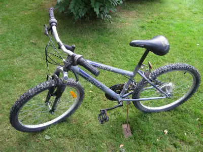 Carrera evolution bike sale