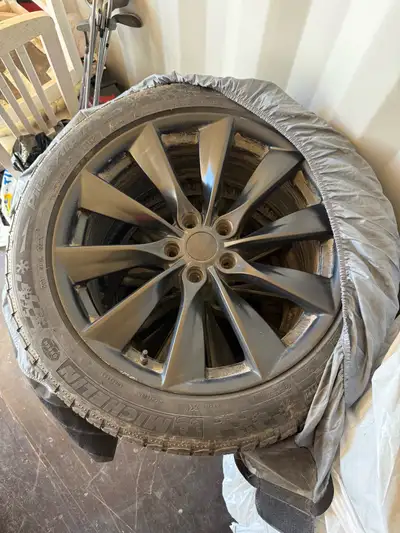 I am selling a set of four Michelin Pilot Alpin winter tires, size 255/45 19, perfect for a Tesla Mo...