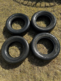 Motomaster tires 