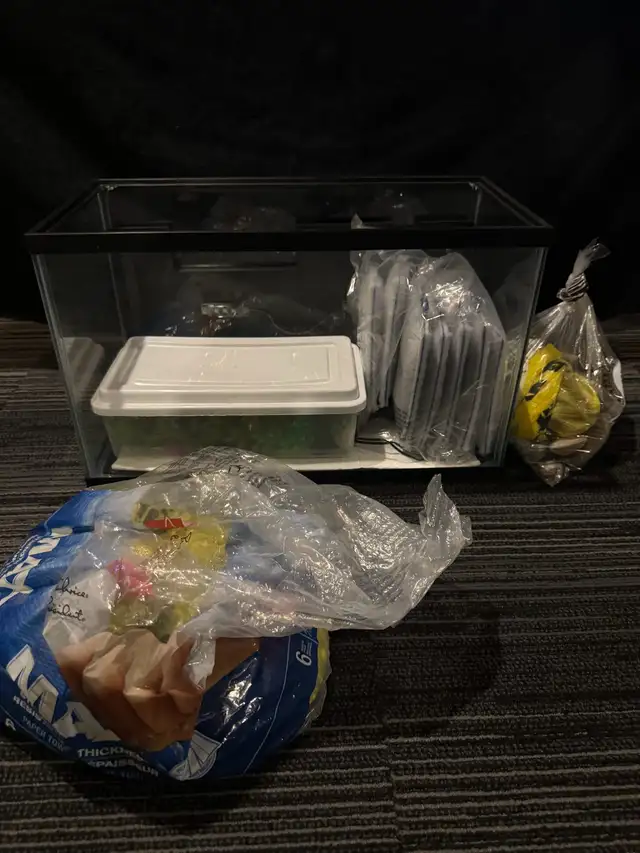 FISH TANK 10 GALLON FULL SET  in Fish for Rehoming in Mississauga / Peel Region - Image 2