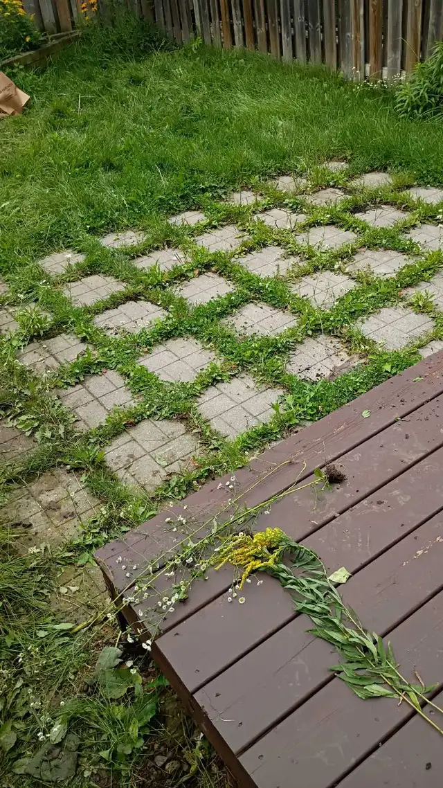 affordable landscaping,  deck staining576949887352197121