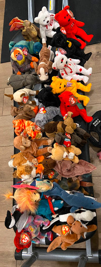 Various Beanie Babies with tags