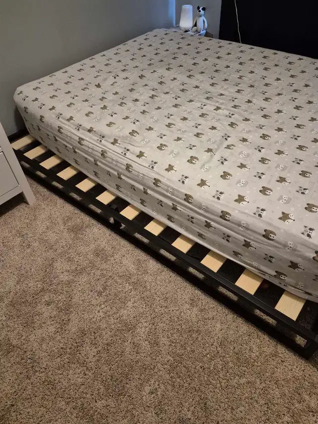 Floor bed frame  - double in Beds & Mattresses in Kingston - Image 3