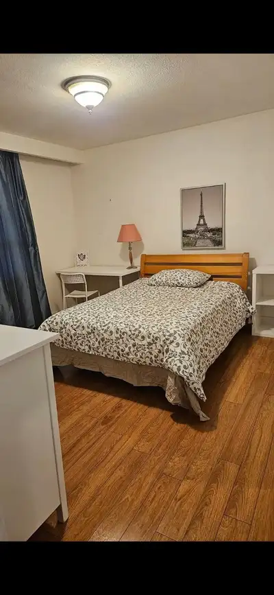 North York( Steeles/Bayview) detached house room available