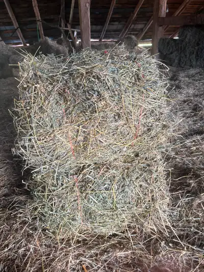 2024 Horse Hay Small Square Bales, View more