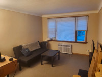1-Bedroom Apartment to Sublet (May - August)