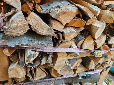 Smoker wood! Cherry, Mulberry, Apple, Oak!, View more